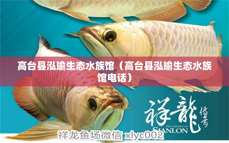 高臺(tái)縣泓瑜生態(tài)水族館（高臺(tái)縣泓瑜生態(tài)水族館電話(huà)） 全國(guó)水族館企業(yè)名錄