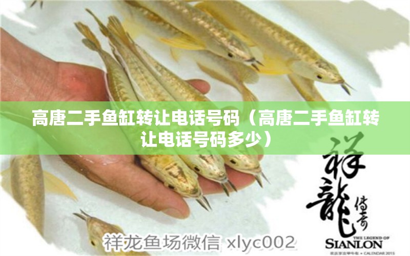 高唐二手魚缸轉(zhuǎn)讓電話號碼（高唐二手魚缸轉(zhuǎn)讓電話號碼多少） 觀賞魚市場（混養(yǎng)魚）