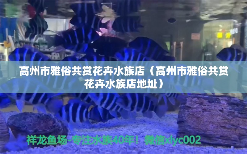 高州市雅俗共賞花卉水族店（高州市雅俗共賞花卉水族店地址） 全國水族館企業(yè)名錄