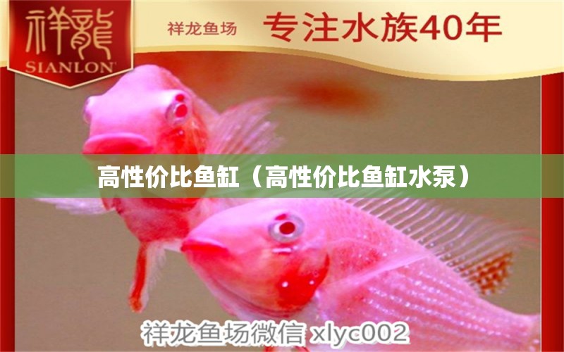 高性價比魚缸（高性價比魚缸水泵）