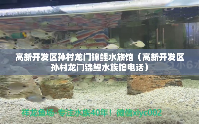 高新開發(fā)區(qū)孫村龍門錦鯉水族館（高新開發(fā)區(qū)孫村龍門錦鯉水族館電話）