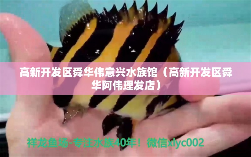 高新開發(fā)區(qū)舜華偉意興水族館（高新開發(fā)區(qū)舜華阿偉理發(fā)店）