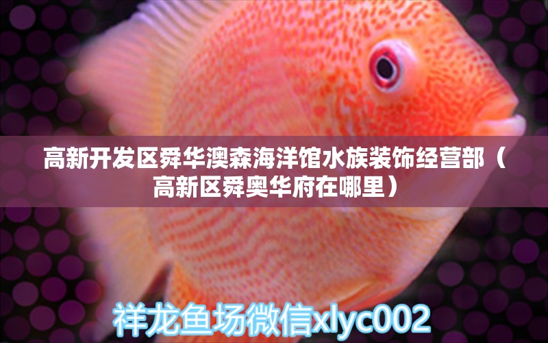 高新開發(fā)區(qū)舜華澳森海洋館水族裝飾經(jīng)營部（高新區(qū)舜奧華府在哪里）