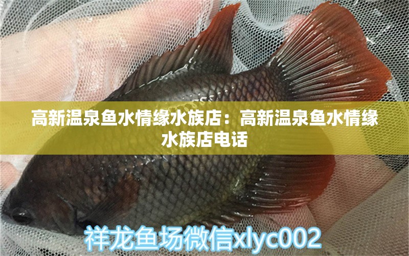 高新溫泉魚水情緣水族店：高新溫泉魚水情緣水族店電話