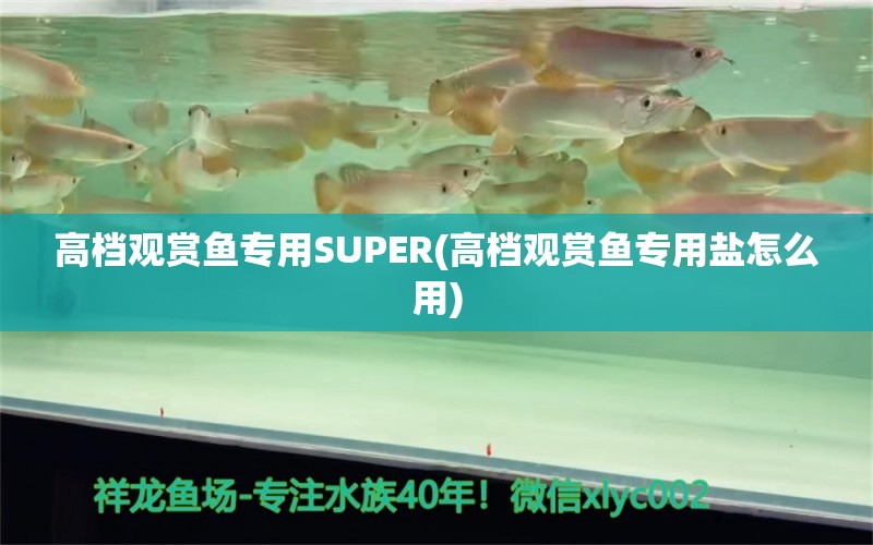 高檔觀賞魚專用SUPER(高檔觀賞魚專用鹽怎么用) 垂釣樂園