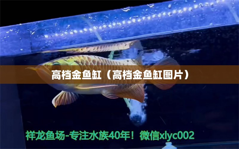 高檔金魚缸（高檔金魚缸圖片） 祥龍水族醫(yī)院