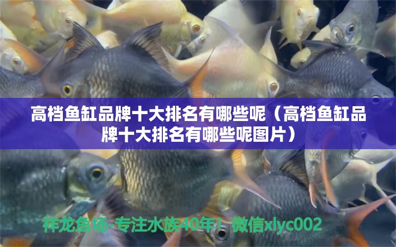 高檔魚缸品牌十大排名有哪些呢（高檔魚缸品牌十大排名有哪些呢圖片） iwish愛唯希品牌魚缸