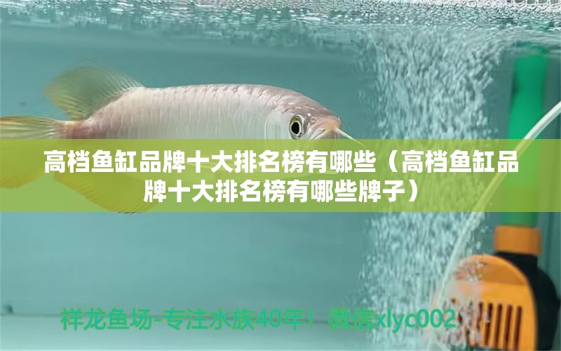 高檔魚缸品牌十大排名榜有哪些（高檔魚缸品牌十大排名榜有哪些牌子）