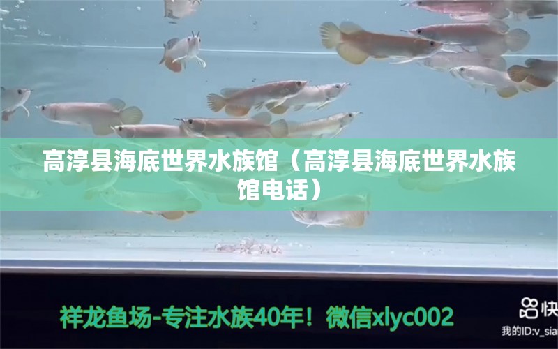 高淳縣海底世界水族館（高淳縣海底世界水族館電話）