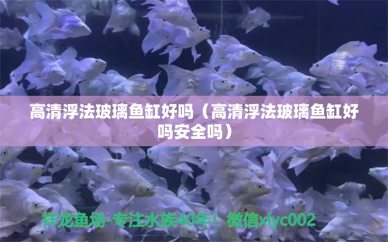 高清浮法玻璃魚缸好嗎（高清浮法玻璃魚缸好嗎安全嗎）