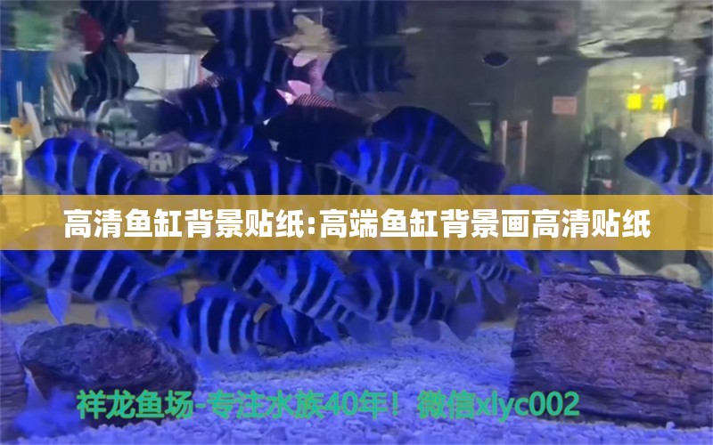 高清魚缸背景貼紙:高端魚缸背景畫高清貼紙 圣菲埃及魚 第1張