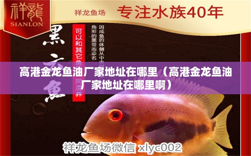 高港金龍魚油廠家地址在哪里（高港金龍魚油廠家地址在哪里?。? title=