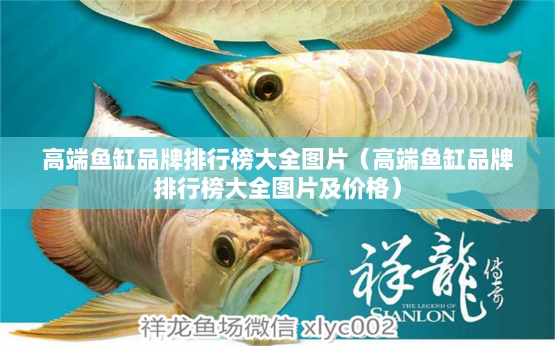 高端魚缸品牌排行榜大全圖片（高端魚缸品牌排行榜大全圖片及價(jià)格）