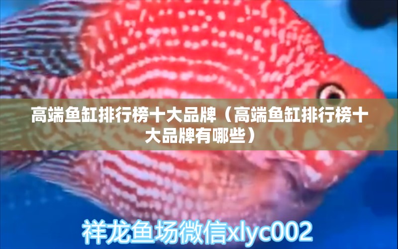 高端魚缸排行榜十大品牌（高端魚缸排行榜十大品牌有哪些）