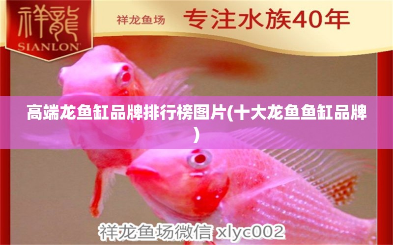 高端龍魚缸品牌排行榜圖片(十大龍魚魚缸品牌) 喂食器