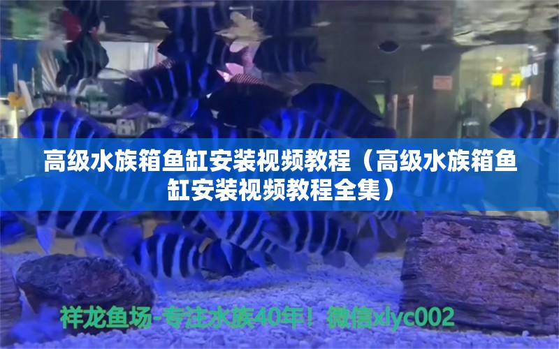 高級(jí)水族箱魚缸安裝視頻教程（高級(jí)水族箱魚缸安裝視頻教程全集） 魚缸/水族箱