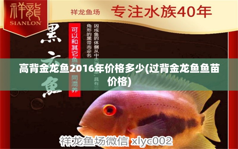 高背金龍魚2016年價(jià)格多少(過背金龍魚魚苗價(jià)格) 高背金龍魚