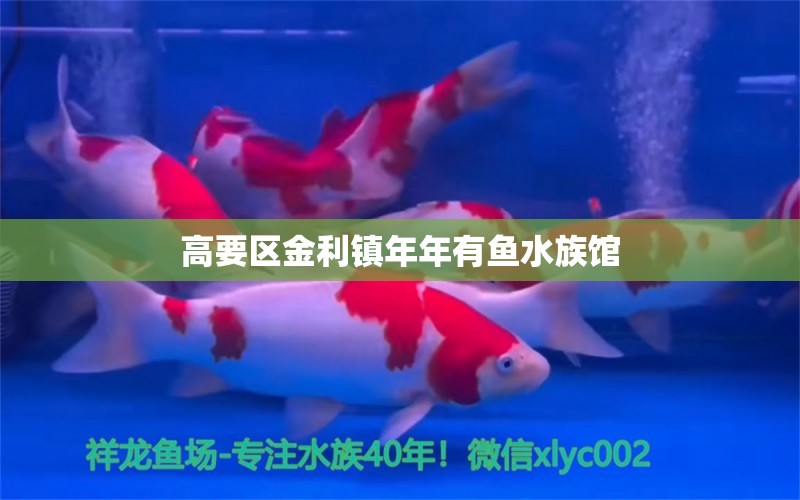 高要區(qū)金利鎮(zhèn)年年有魚水族館