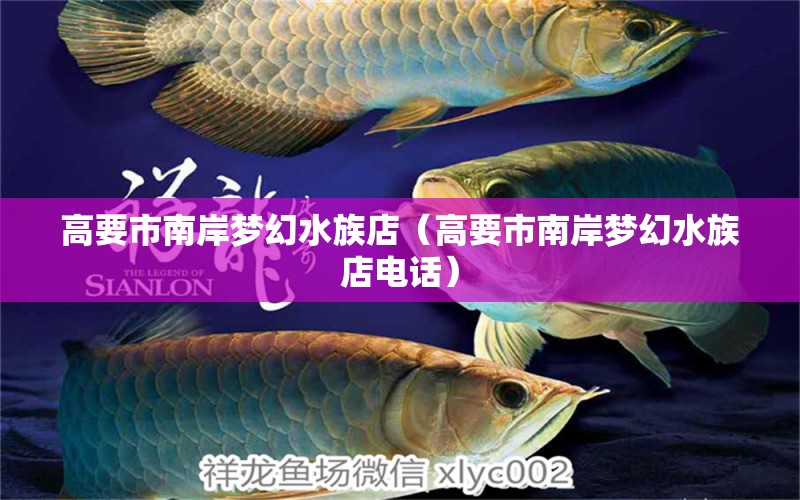 高要市南岸夢幻水族店（高要市南岸夢幻水族店電話）