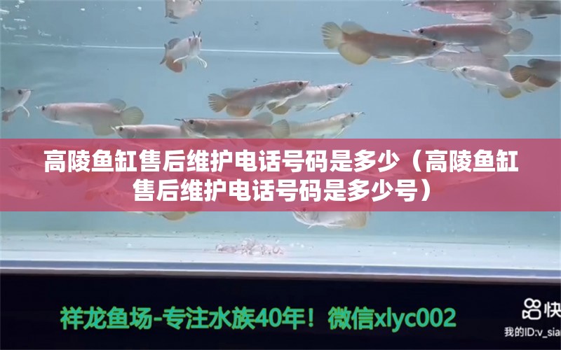 高陵魚缸售后維護(hù)電話號(hào)碼是多少（高陵魚缸售后維護(hù)電話號(hào)碼是多少號(hào)）