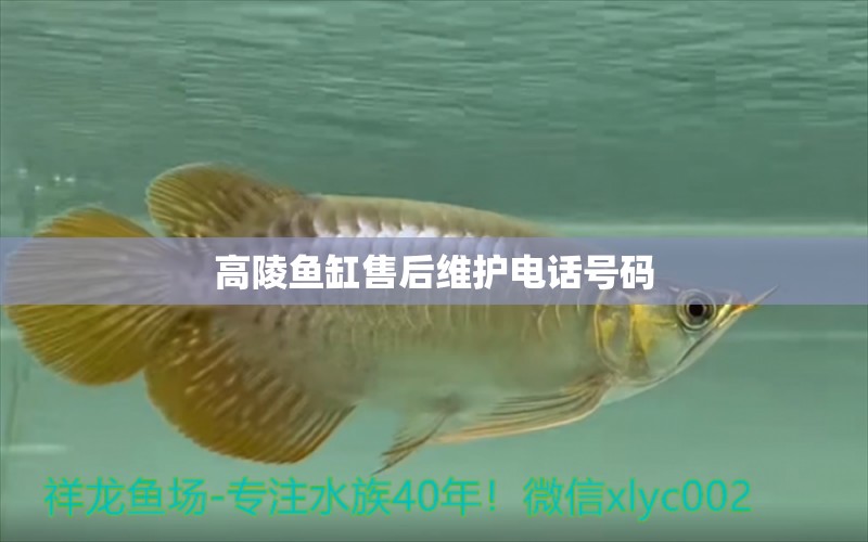 高陵魚缸售后維護(hù)電話號(hào)碼