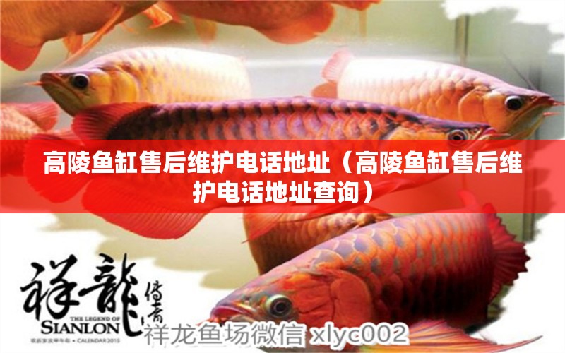 高陵魚缸售后維護(hù)電話地址（高陵魚缸售后維護(hù)電話地址查詢）