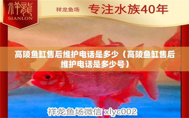 高陵魚缸售后維護(hù)電話是多少（高陵魚缸售后維護(hù)電話是多少號(hào)）