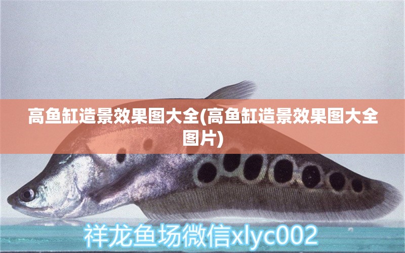 高魚缸造景效果圖大全(高魚缸造景效果圖大全圖片) 豹紋夫魚苗 第1張