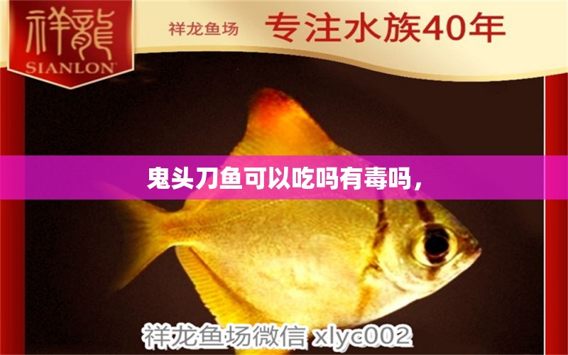 鬼頭刀魚可以吃嗎有毒嗎，