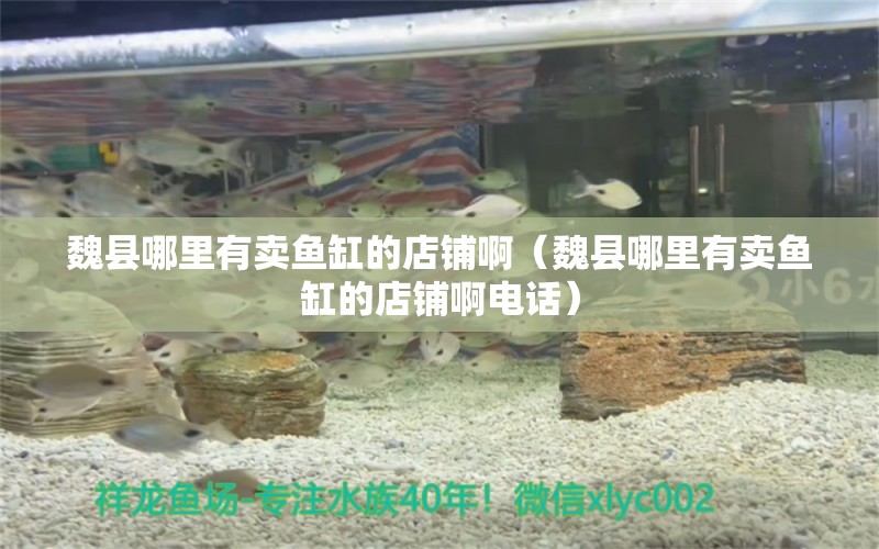 魏縣哪里有賣魚缸的店鋪?。ㄎ嚎h哪里有賣魚缸的店鋪啊電話）