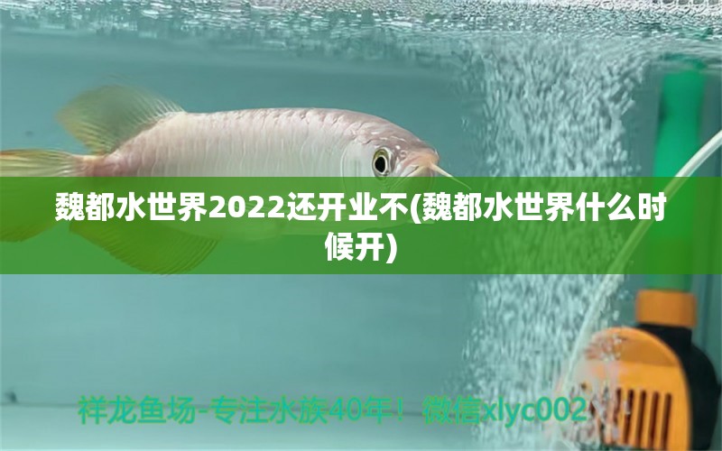 魏都水世界2022還開業(yè)不(魏都水世界什么時候開) 綠皮辣椒小紅龍