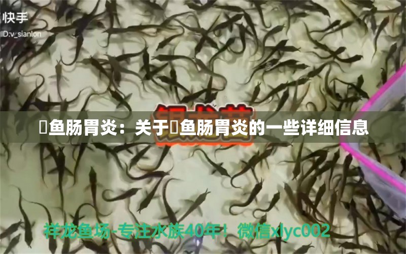 魟魚(yú)腸胃炎：關(guān)于魟魚(yú)腸胃炎的一些詳細(xì)信息