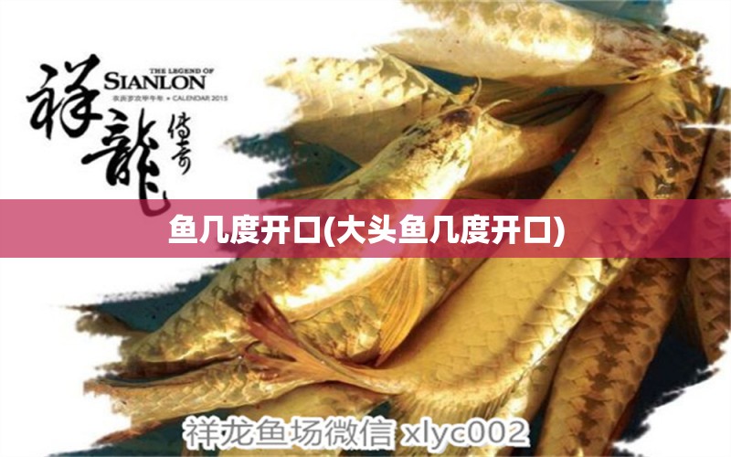 魚幾度開口(大頭魚幾度開口) 養(yǎng)魚的好處