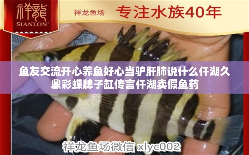 魚友交流開心養(yǎng)魚好心當驢肝肺說什么仟湖久鼎彩蝶牌子缸傳言仟湖賣假魚藥 仟湖