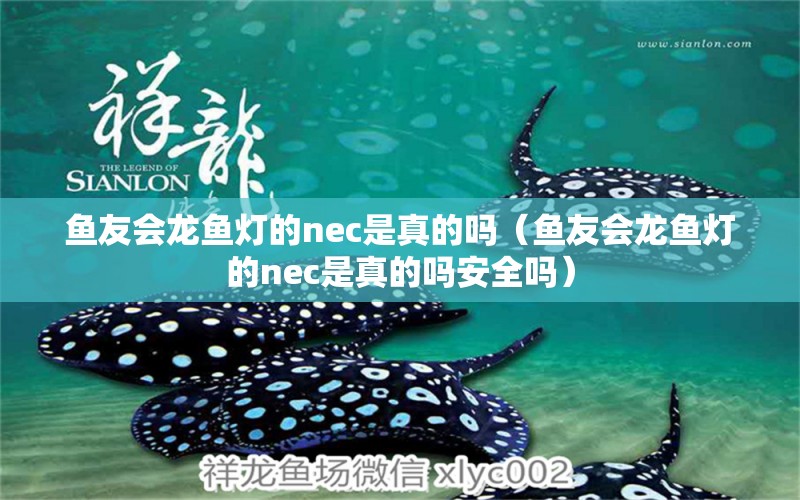 魚友會龍魚燈的nec是真的嗎（魚友會龍魚燈的nec是真的嗎安全嗎）