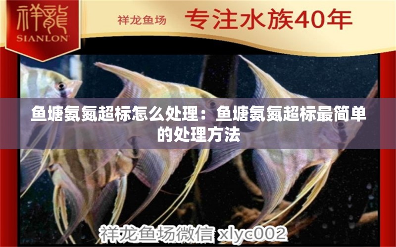 魚塘氨氮超標(biāo)怎么處理：魚塘氨氮超標(biāo)最簡單的處理方法