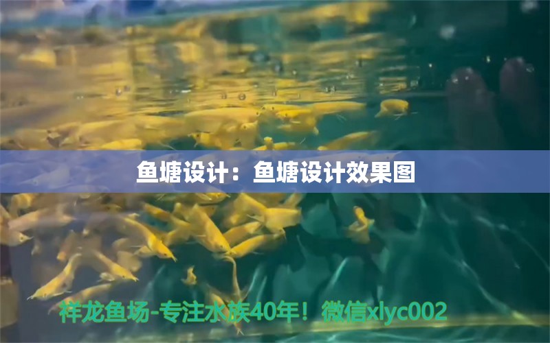 魚(yú)塘設(shè)計(jì)：魚(yú)塘設(shè)計(jì)效果圖