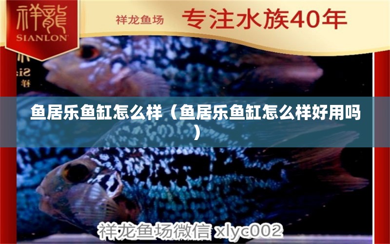 魚居樂魚缸怎么樣（魚居樂魚缸怎么樣好用嗎）