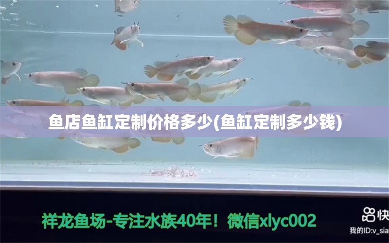 魚店魚缸定制價(jià)格多少(魚缸定制多少錢) 南美異形觀賞魚