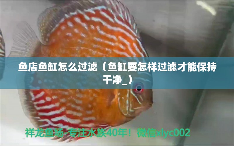 魚店魚缸怎么過濾（魚缸要怎樣過濾才能保持干凈_） 錦鯉池魚池建設