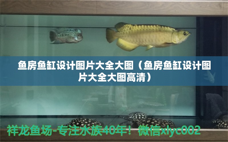 魚房魚缸設(shè)計圖片大全大圖（魚房魚缸設(shè)計圖片大全大圖高清）