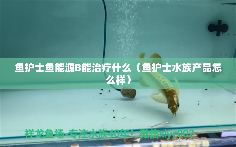 魚護(hù)士魚能源B能治療什么（魚護(hù)士水族產(chǎn)品怎么樣）