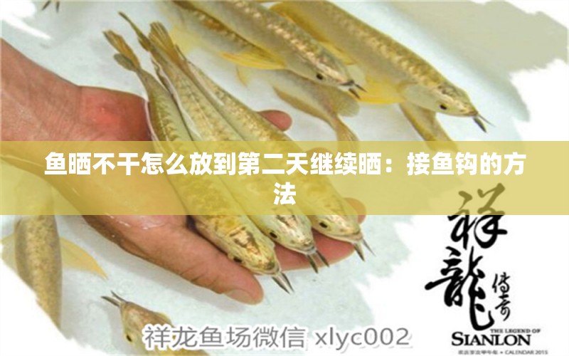 魚曬不干怎么放到第二天繼續(xù)曬：接魚鉤的方法 垂釣樂園