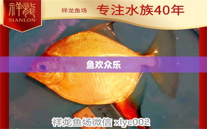 魚歡眾樂 黑云魚