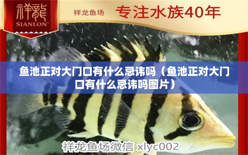 魚池正對(duì)大門口有什么忌諱嗎（魚池正對(duì)大門口有什么忌諱嗎圖片） 觀賞魚市場(chǎng)（混養(yǎng)魚）