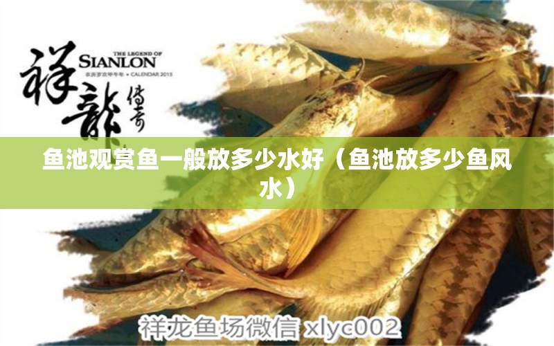 魚(yú)池觀賞魚(yú)一般放多少水好（魚(yú)池放多少魚(yú)風(fēng)水）