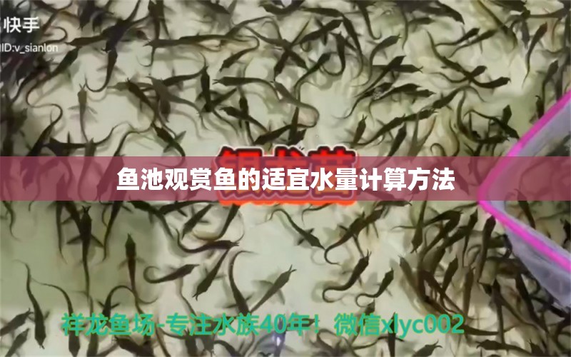 魚池觀賞魚的適宜水量計(jì)算方法