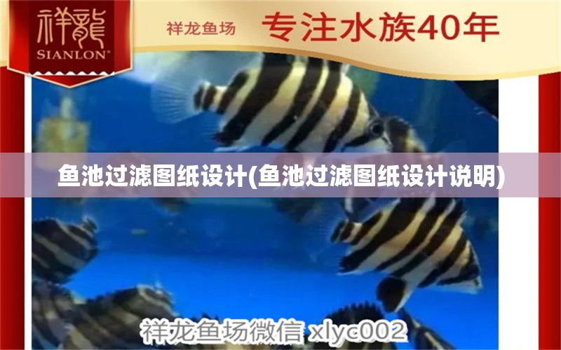 魚池過濾圖紙?jiān)O(shè)計(jì)(魚池過濾圖紙?jiān)O(shè)計(jì)說明) 檸檬鯽 第1張