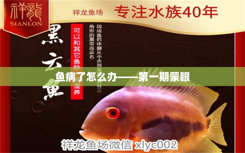 魚病了怎么辦——第一期蒙眼 龍魚疾病與治療