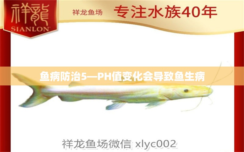 魚病防治5—PH值變化會導致魚生病 龍魚疾病與治療